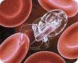 20070506233100-nanotecnologia.jpg
