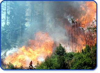 20070510212758-incendio1-1-.jpg