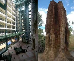 20081020211726-imagen1.jpg